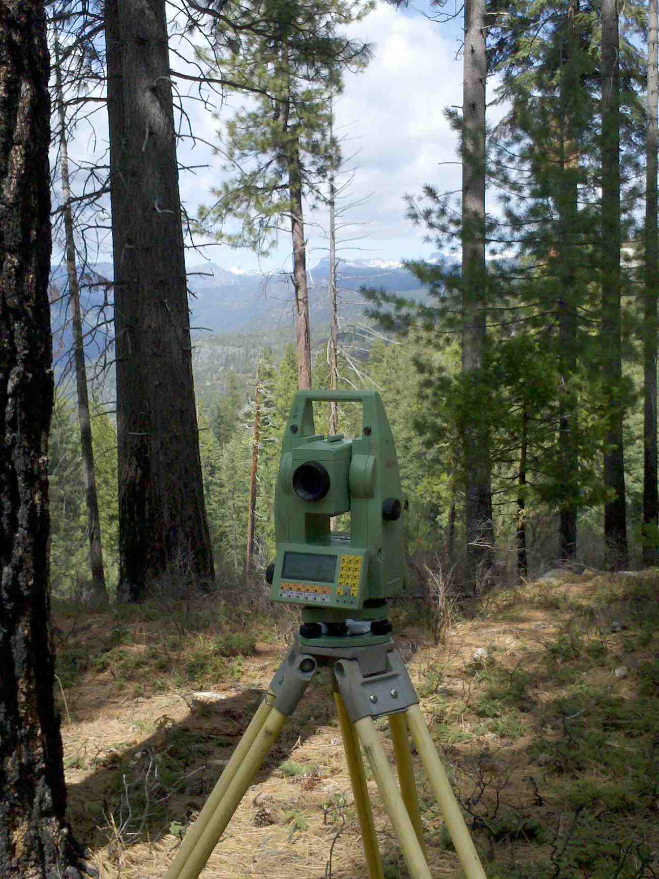 Pedro Flat Gun Pedro Flat Gun